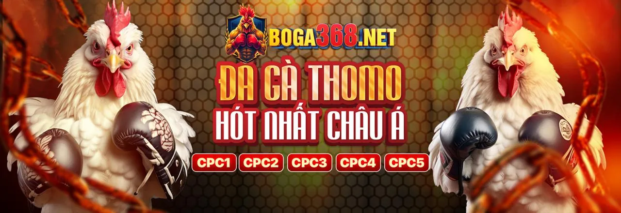 Đá Gà Trực Tuyến Hấp Dẫn tại Loc88 Link Mới